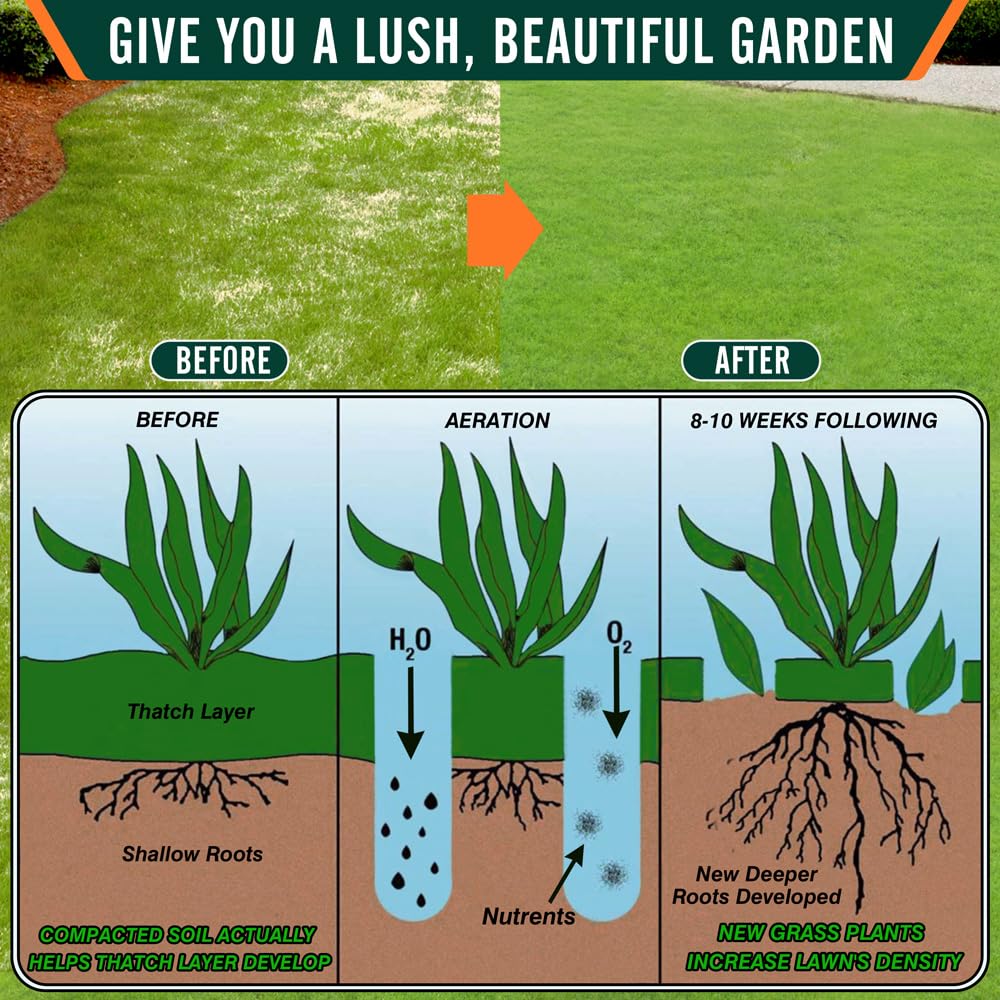 Colwelt results include a greener, healthier-looking lawn after aeration.