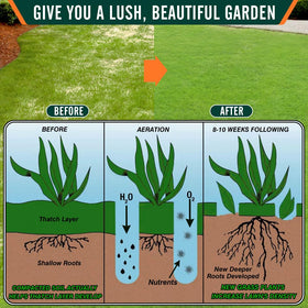 Colwelt results include a greener, healthier-looking lawn after aeration.