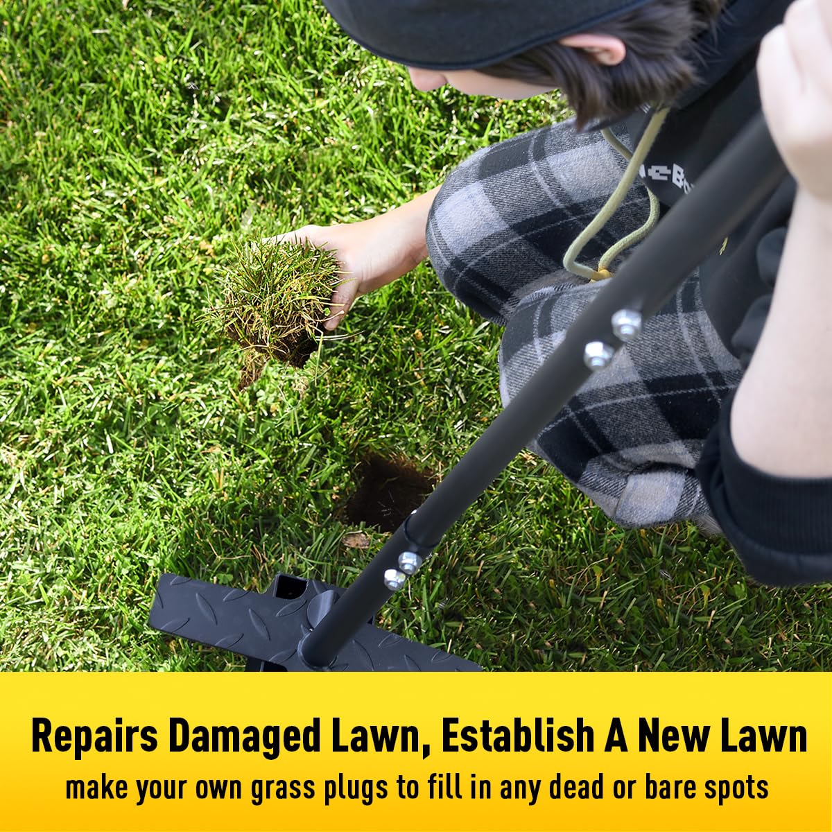 Colwelt square 3x3 plug-cut showing root-area capture for transplanting