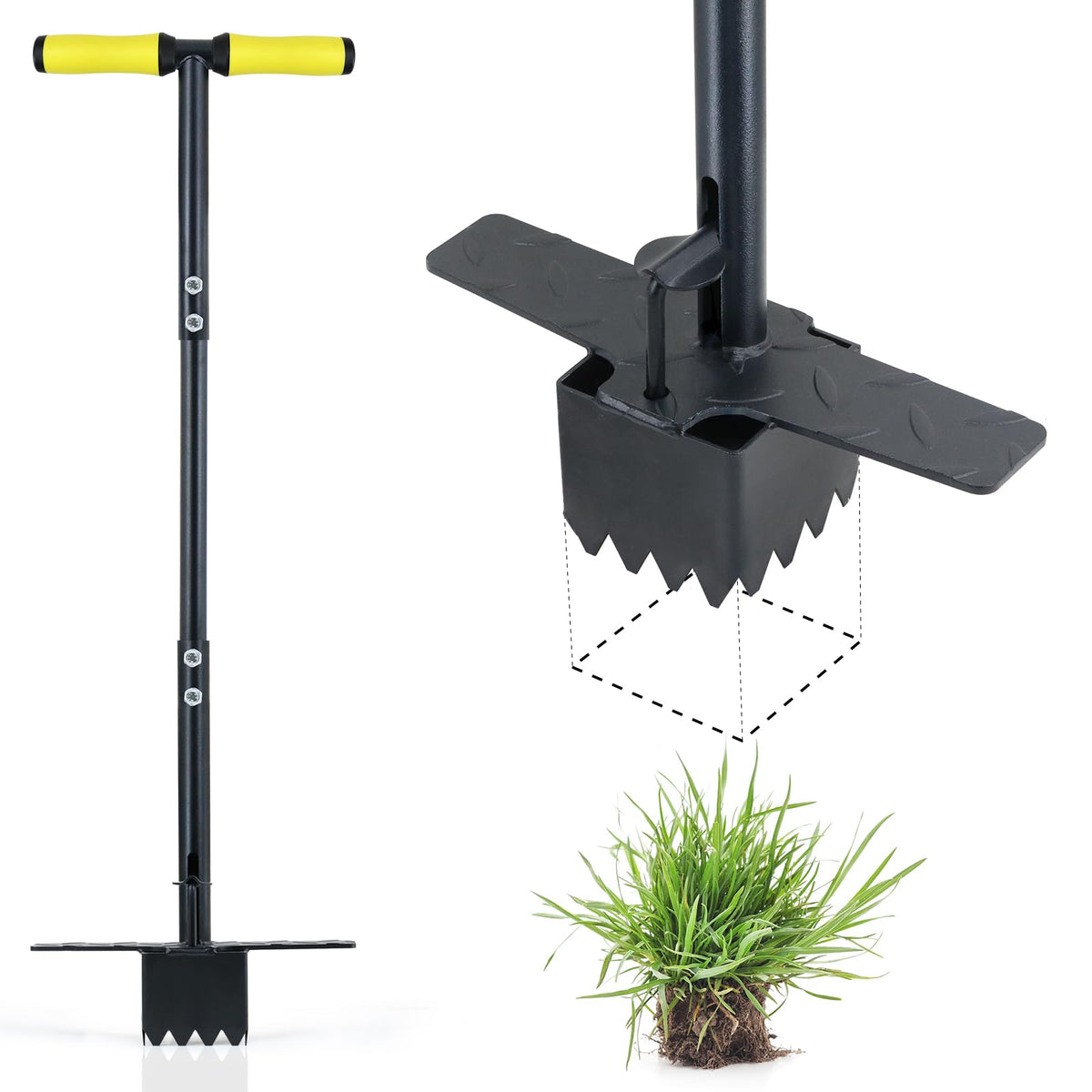Colwelt Sod Plugger Tool 36-inch in use for standing planting and easy lawn repair