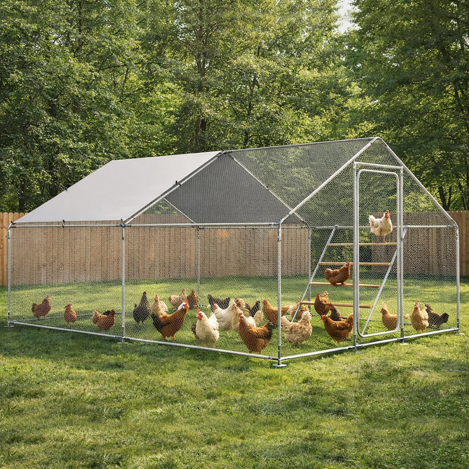 COMHOMA chicken coop with steel frame offers durable outdoor housing for hens.