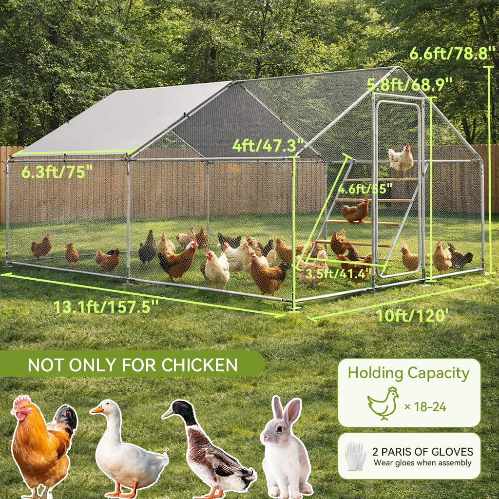 COMHOMA lockable door keeps the coop secure and predator-safe.