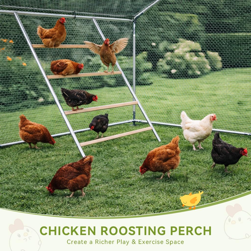 COMHOMA walk-in run enables easy feeding and cleaning for poultry.