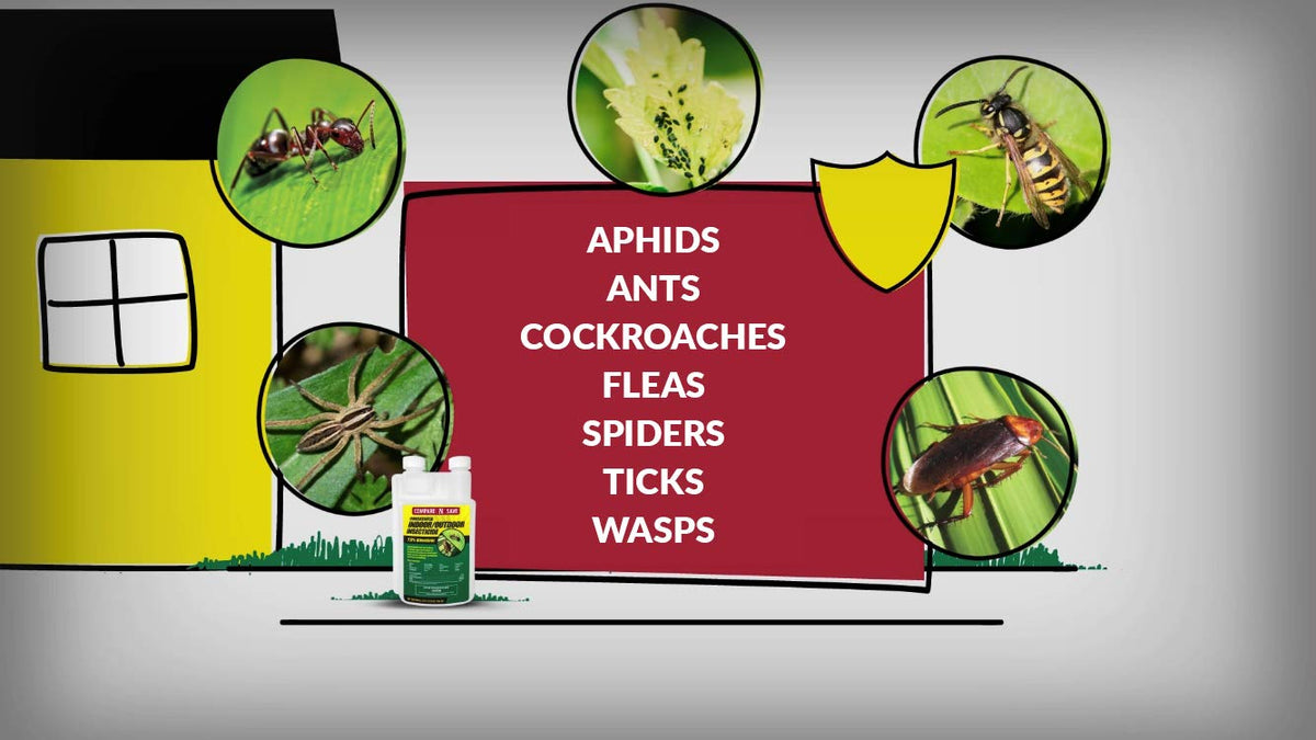 Compare-N-Save Concentrate targets common pests for indoor control.