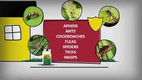 Compare-N-Save Concentrate targets common pests for indoor control.