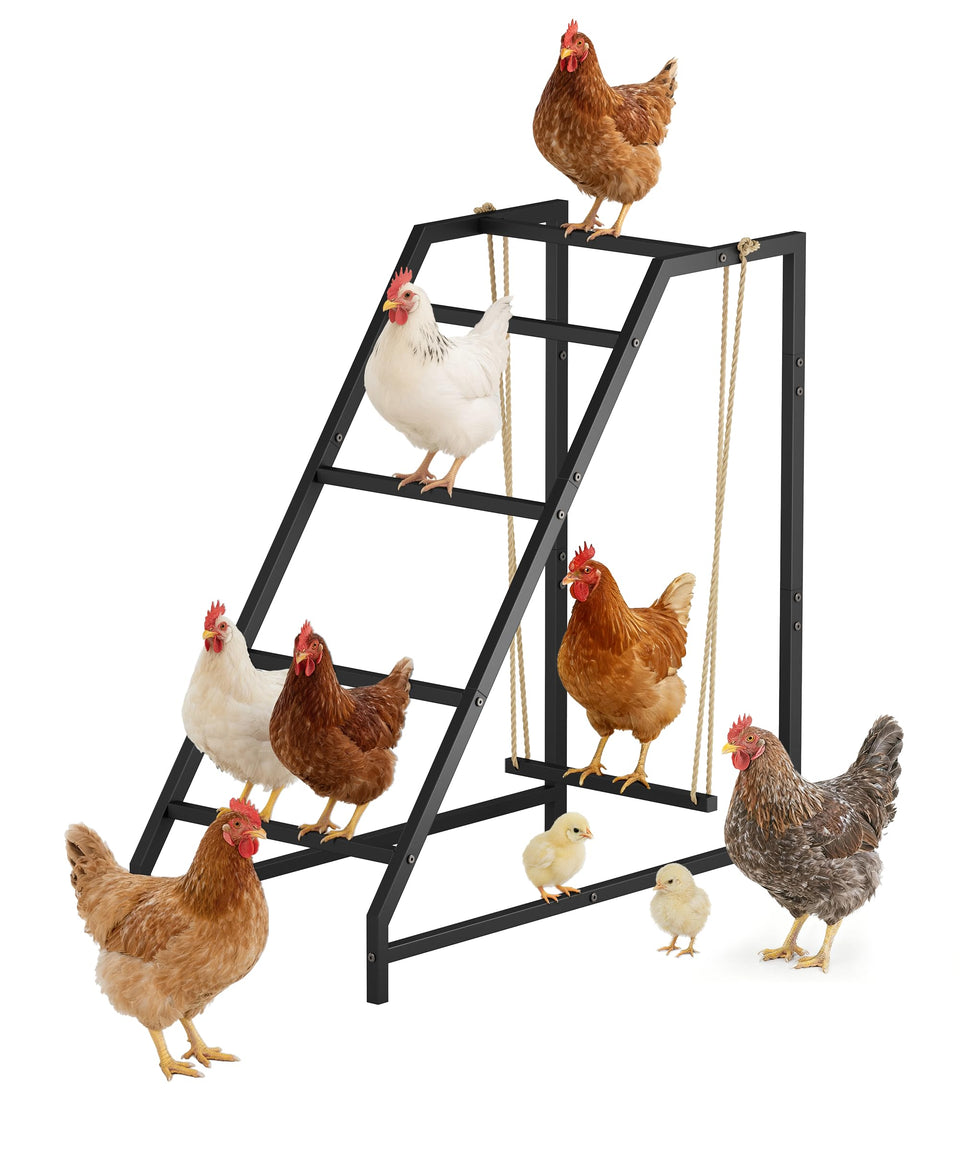 Comzinn chicken perch swing with ladder in coop provides spacious roosting and playful exercise.