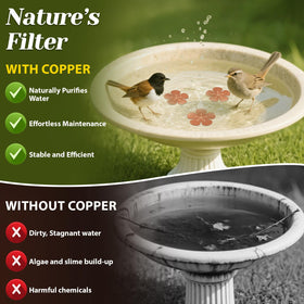 Conderyang copper disk installed in a bird bath demonstrates continuous purification.