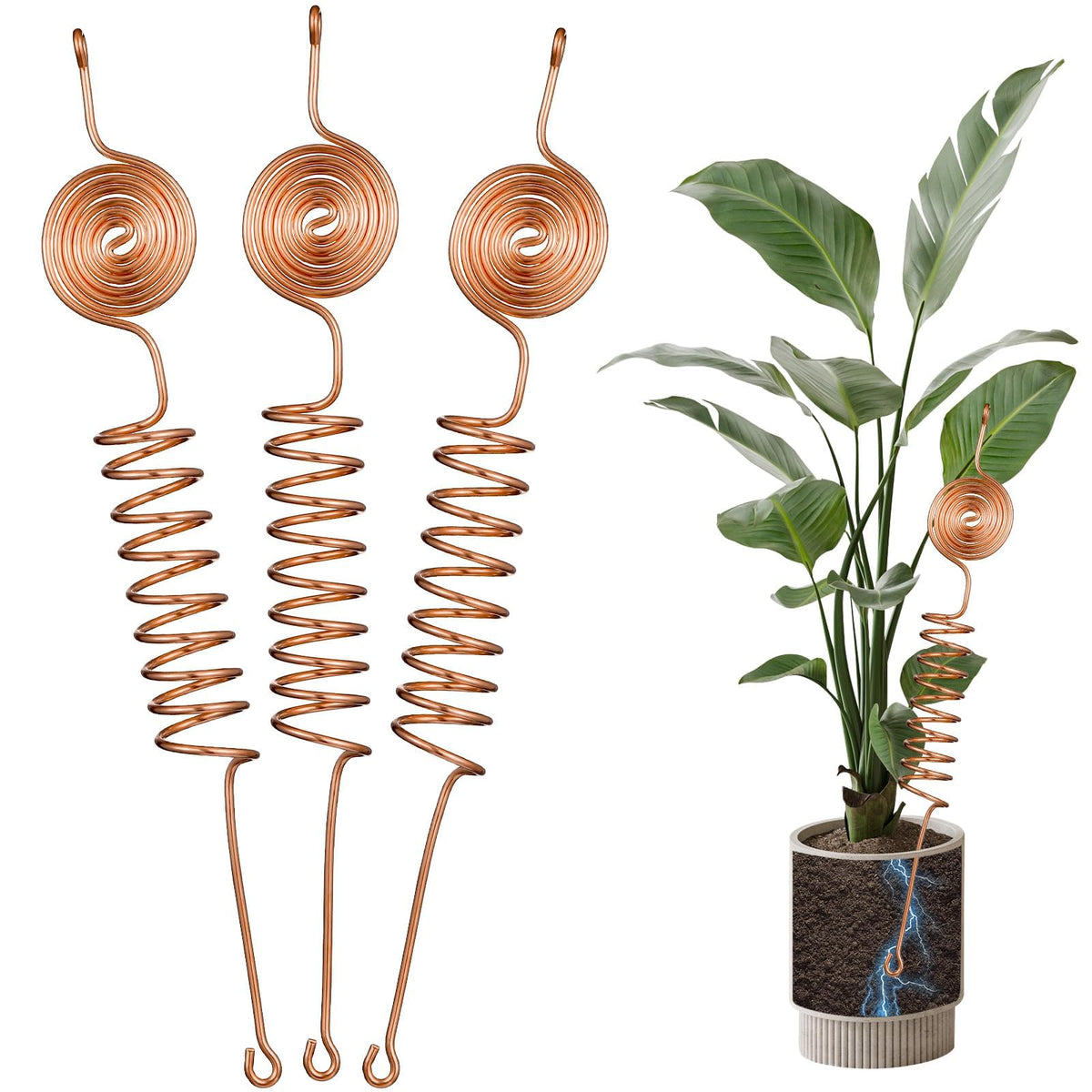 Conderyang electroculture copper antenna kit showing energy-friendly garden enhancement in action.