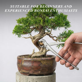 CONFUTURY bonsai tools set concave cutter for seamless shaping