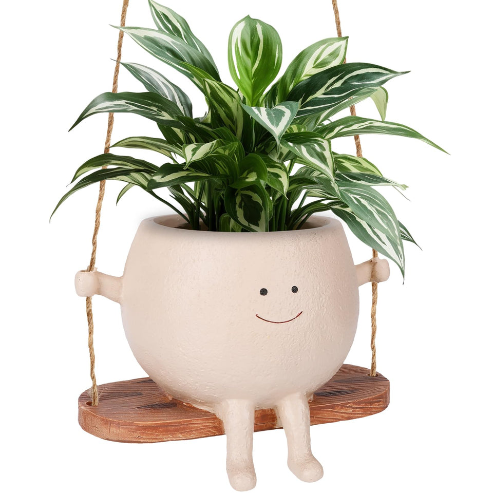 CONNOVA smiley-face swing pot for compact indoor plant displays.