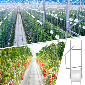 Connova tomato roller hooks on fence or patio trellis for space efficiency