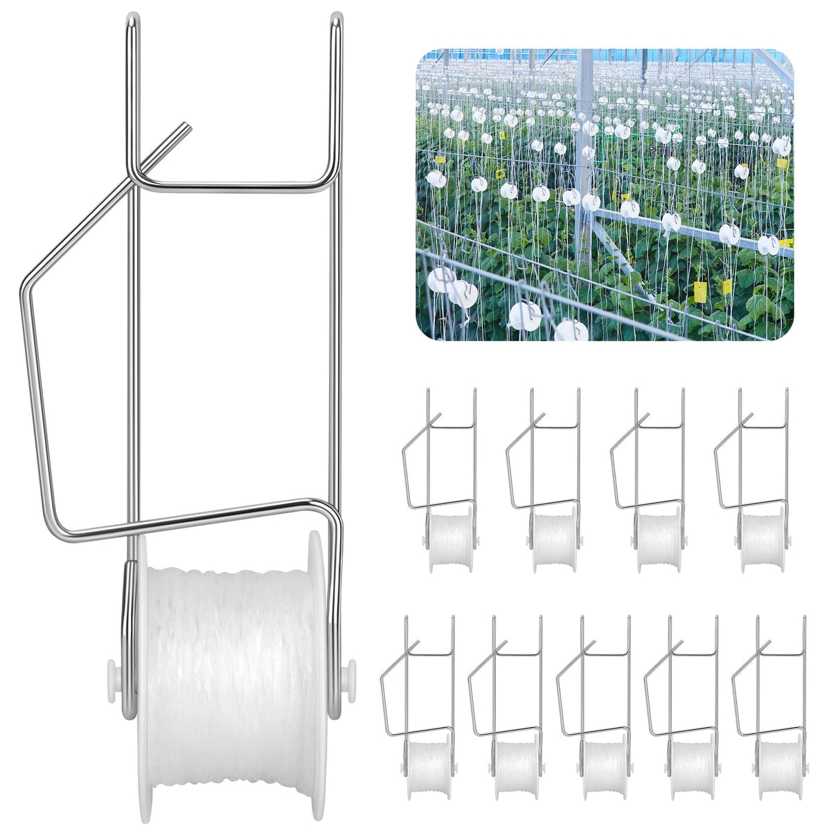 Connova tomato roller hooks overhead setup demonstrating safe plant lowering
