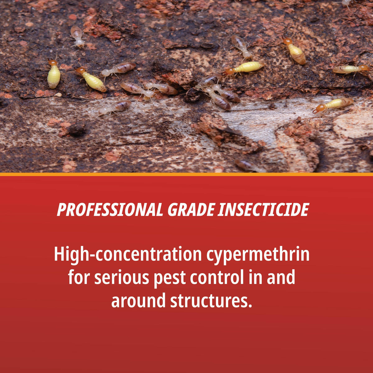 Control Solutions Cyper TC creates a soil barrier to deter crossing pests.