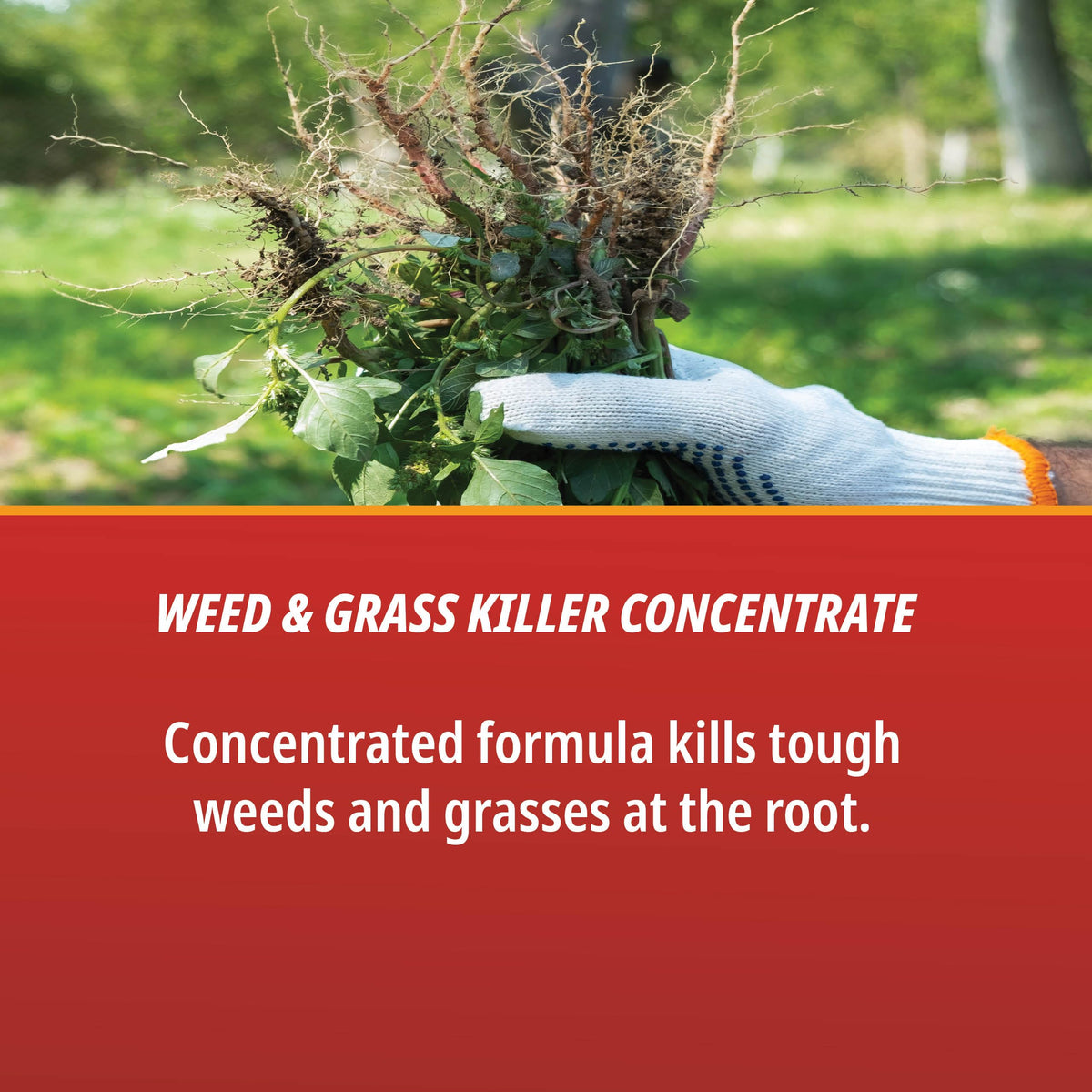 Control Solutions label closeup highlights 41% glyphosate content for broad-spectrum use.
