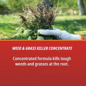 Control Solutions label closeup highlights 41% glyphosate content for broad-spectrum use.