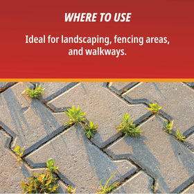 Control Solutions lawn-scene shows weed coverage across turf areas.