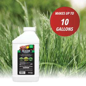 Control Solutions Martins Eraser clear bottle aids precise application