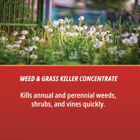 Eraser label-front shows 41% glyphosate formulation