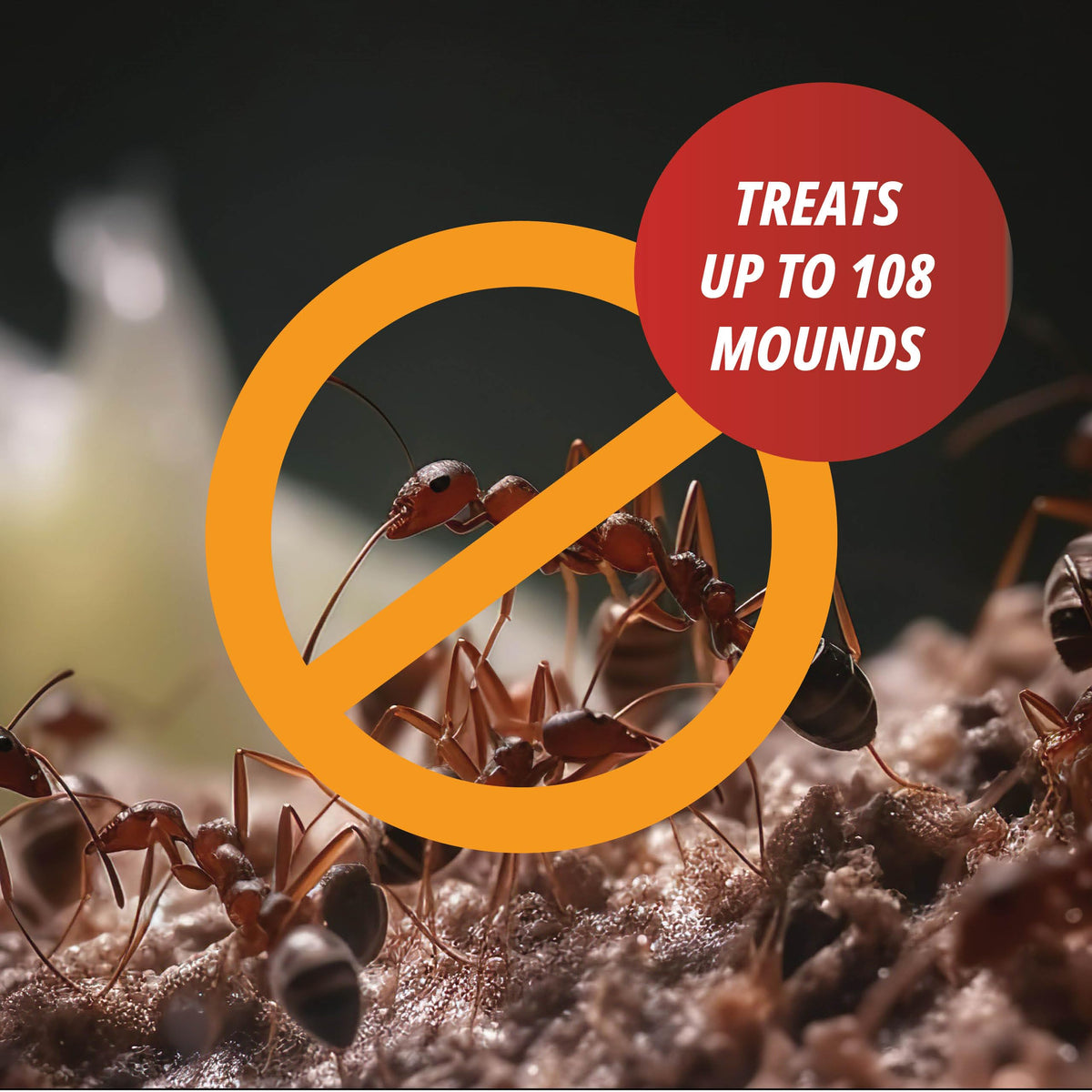 Outdoor yard scene with Surrender Fire Ant Killer ready for mound treatment