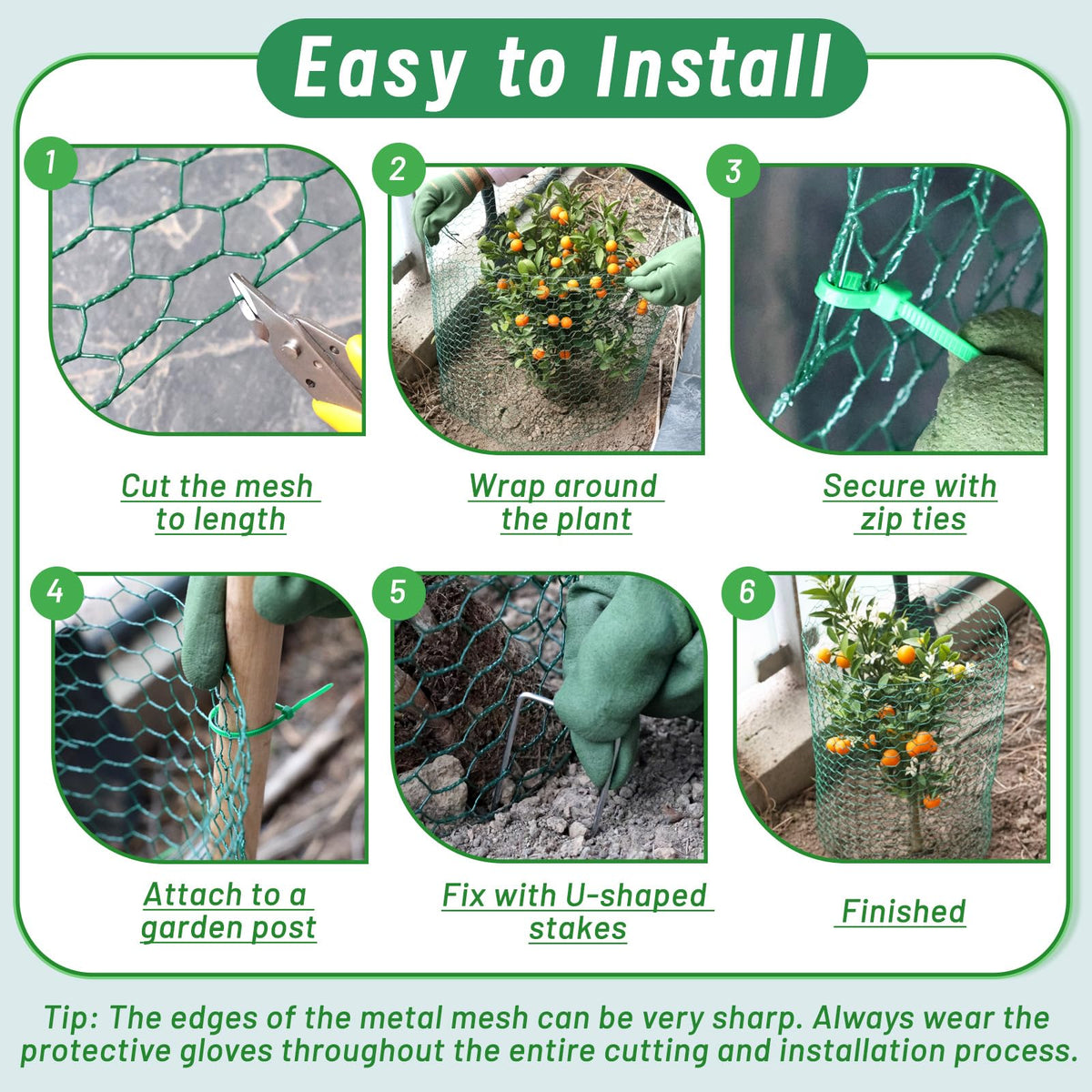 Convivium protection for roses and vegetables without blocking sunlight.