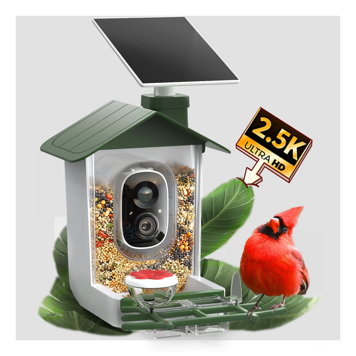 COOAU 5MP bird feeder camera front view for crystal-clear outdoor bird watching