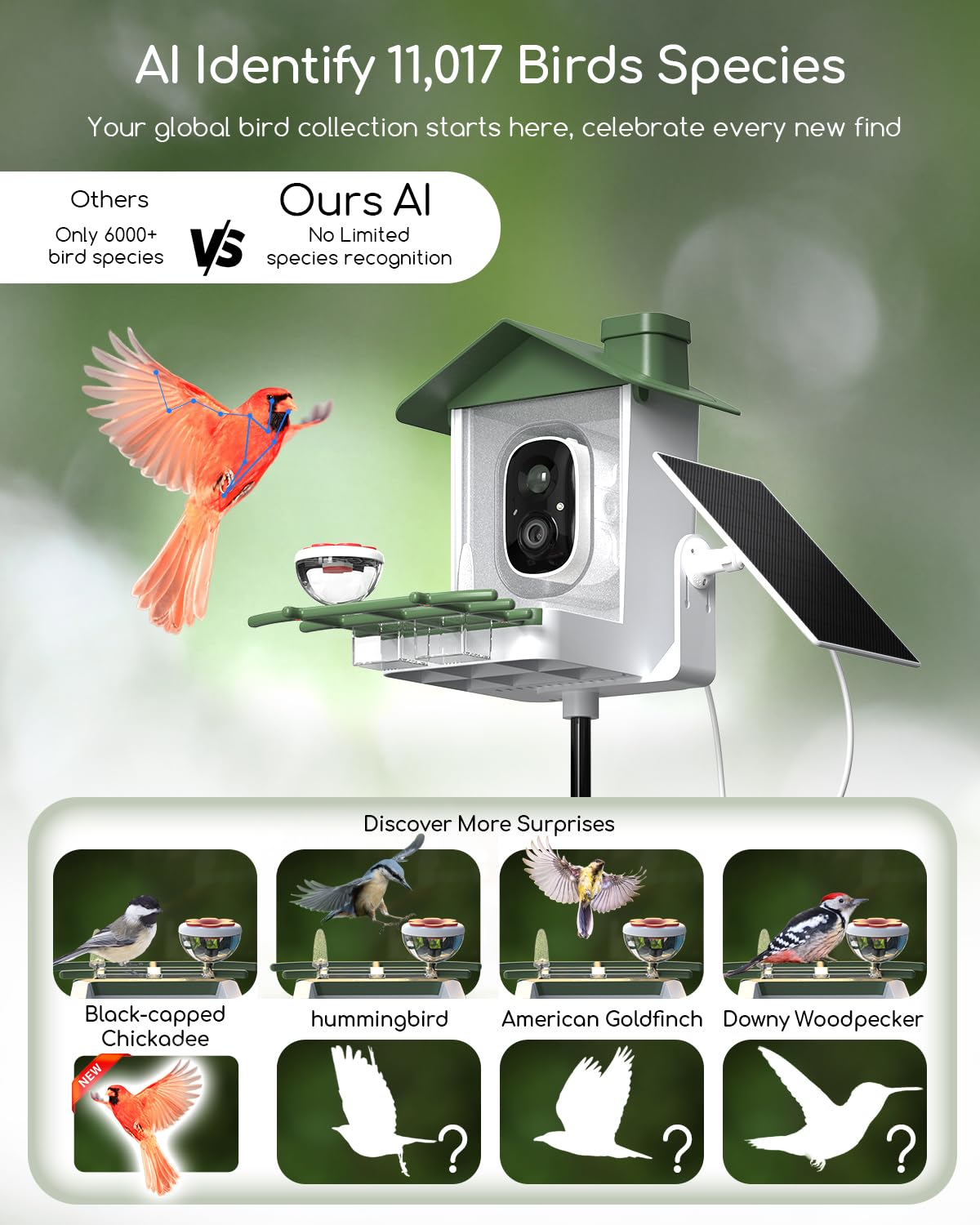 COOAU AI bird recognition adds species to your personal field guide