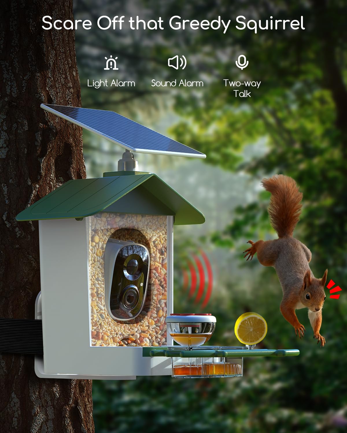 COOAU gift-ready smart bird watcher for nature lovers on any occasion