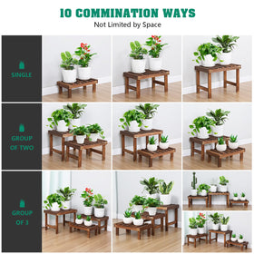 COOGOU corner display shelf with multiple pots