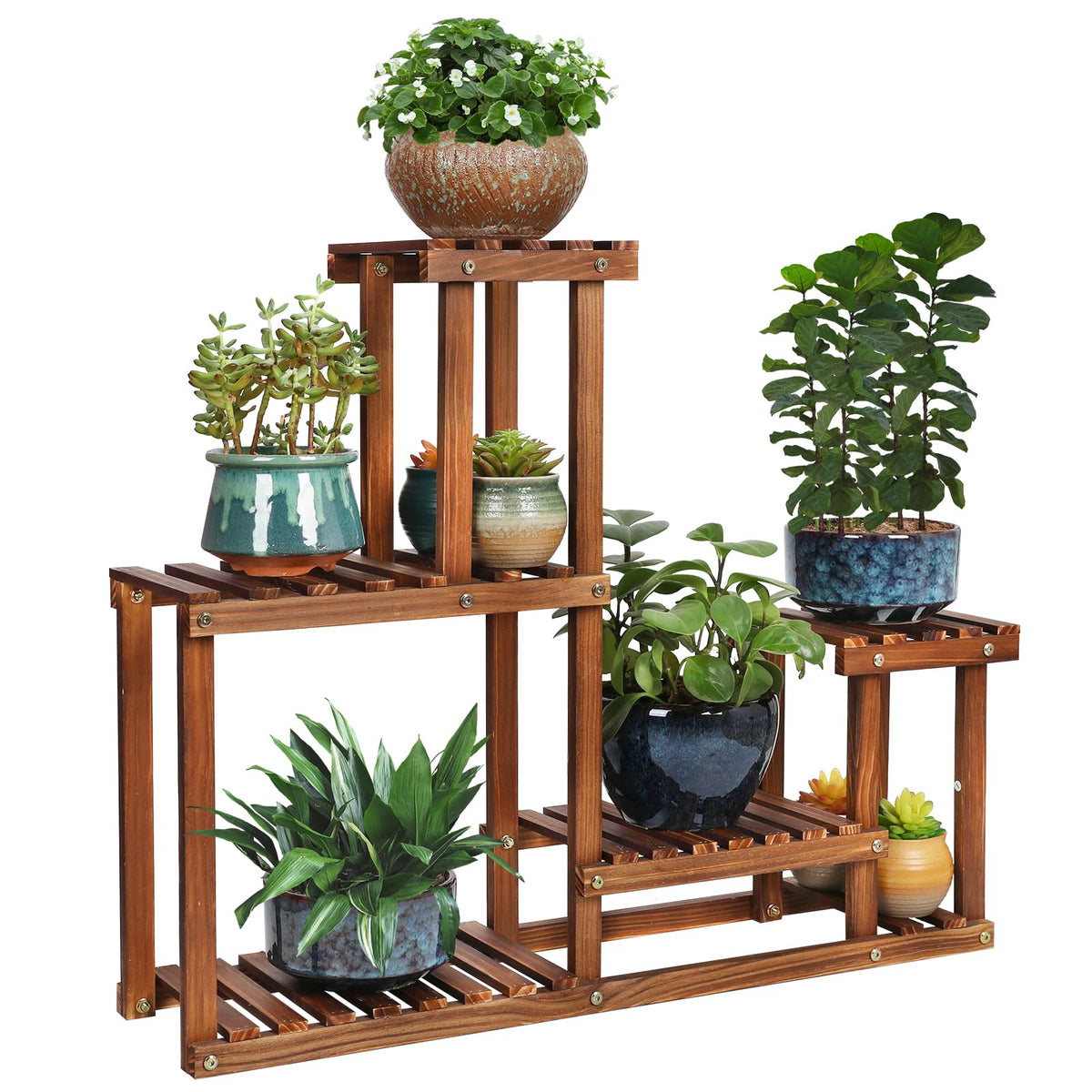 COOGOU pine wood plant stand front view showing four-tier arrangement for organized greenery