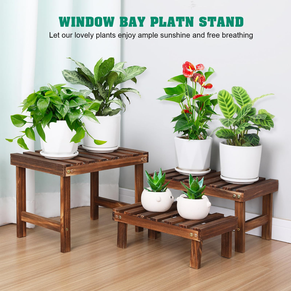 COOGOU plant stand on window sill for sun-loving plants