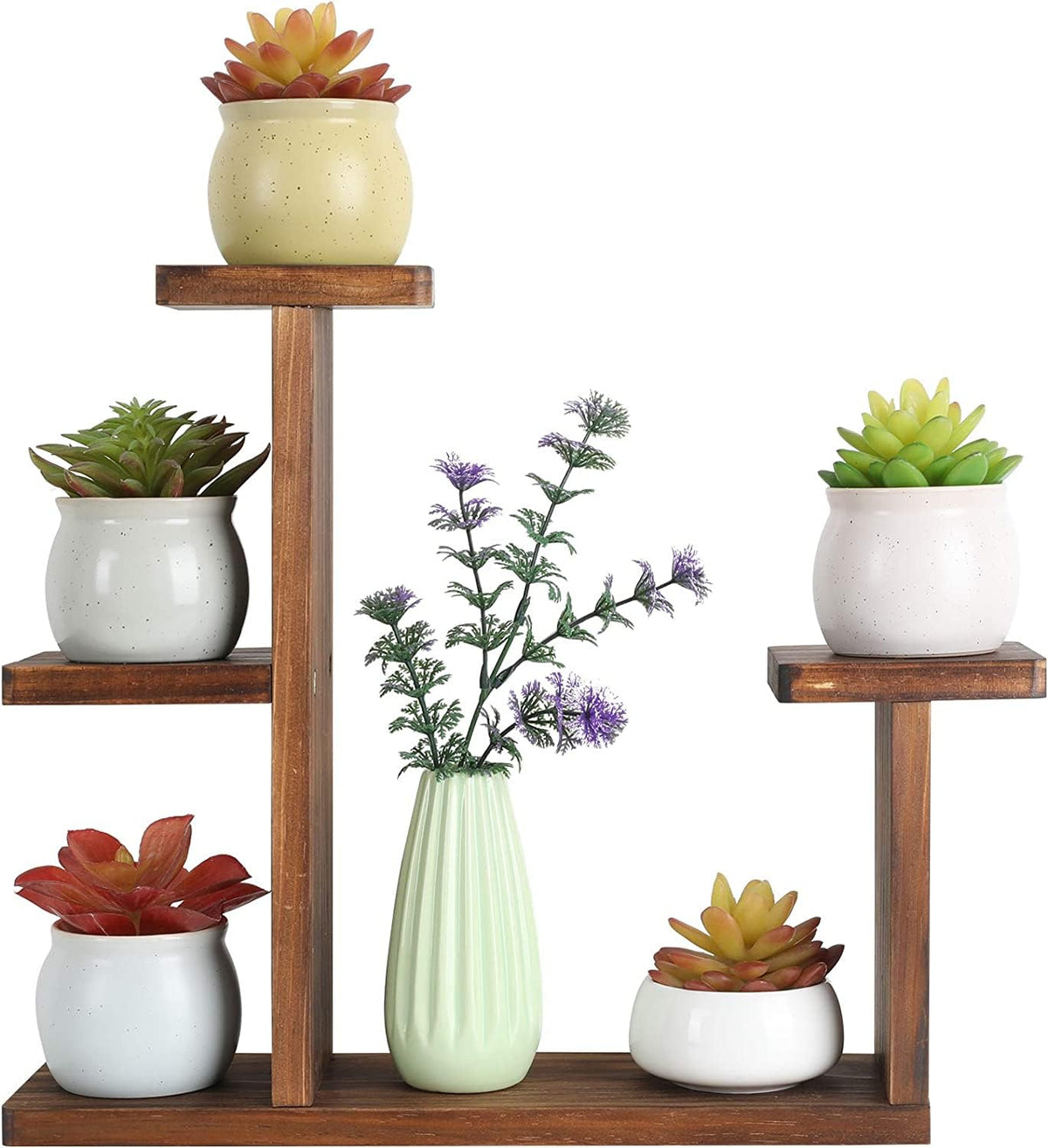 COOGOU wood desktop plant stand front view with multi-tier display for small spaces.