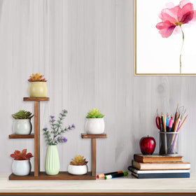COOGOU wood desktop plant stand side view shows sturdy frame and compact footprint.