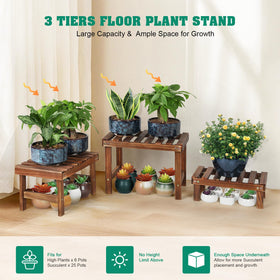COOGOU wooden plant stand on desk displaying small succulents