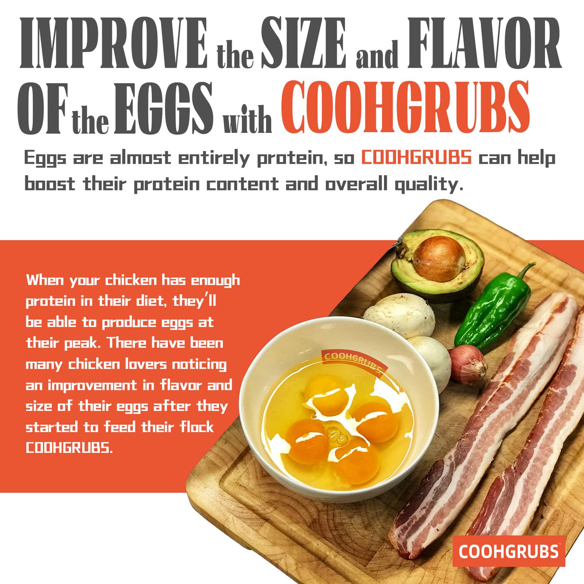 COOHGRUBS BSF larvae near eggs hint at calcium-rich feed options