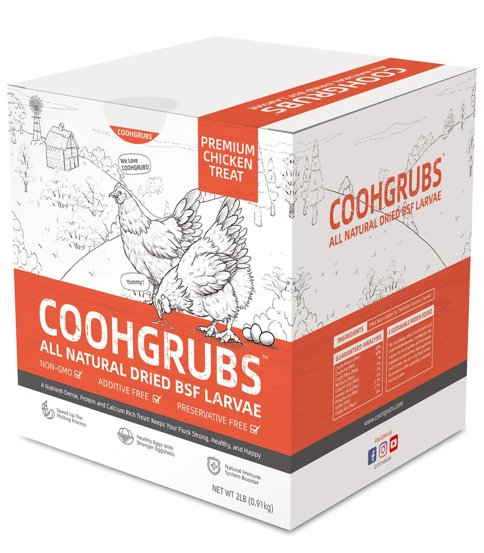 COOHGRUBS BSF larvae in a resealable bag for convenient poultry nutrition.