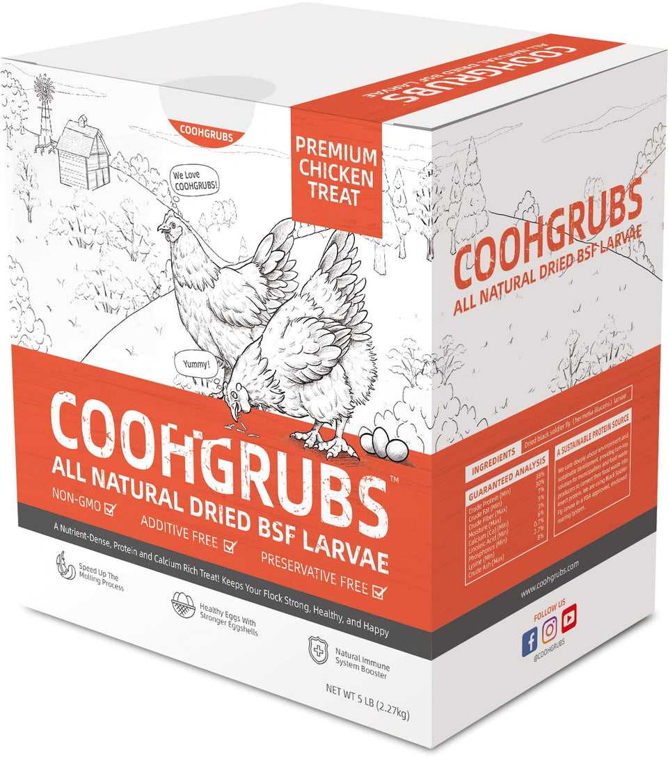 COOHGRUBS BSF larvae in bag for chickens, highlighting protein and calcium benefits