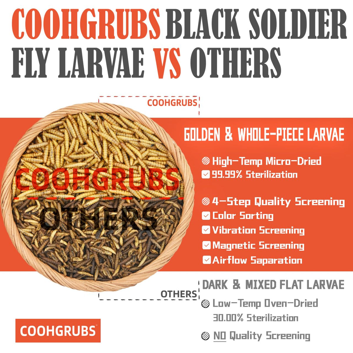 Chickens foraging for COOHGRUBS BSF larvae, encouraging natural pecking and vitality.