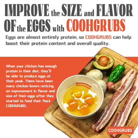 Resealable inner bag inside COOHGRUBS gift box keeps freshness