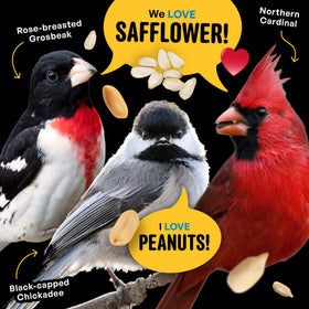 Cool Birds backyard birding season boosted by premium blend