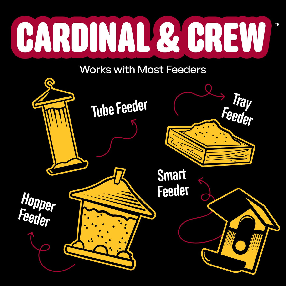 Cool Birds seed at a backyard feeder brings more birds to your porch.