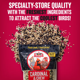 Cool Birds Cardinal & Crew on feeder attracts colorful songbirds to your backyard.