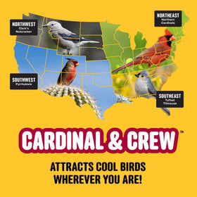 Cool Birds Cardinal & Crew 10 lb bag stores easily for regular feeding.