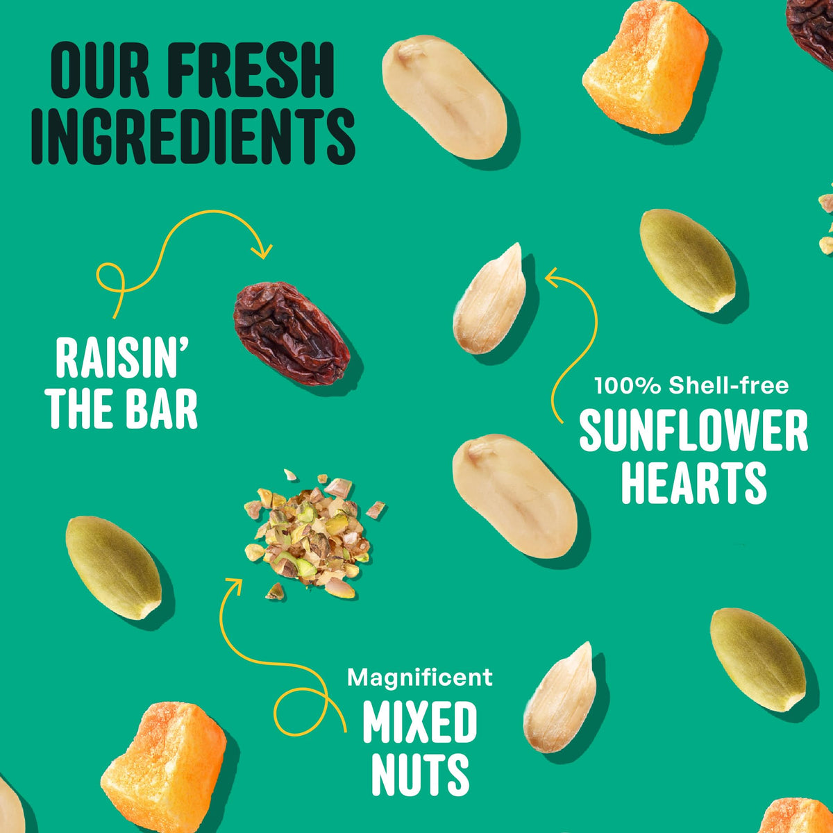 COOL BIRDS chopped tree nuts mix close-up: appealing to a wide range of backyard birds.