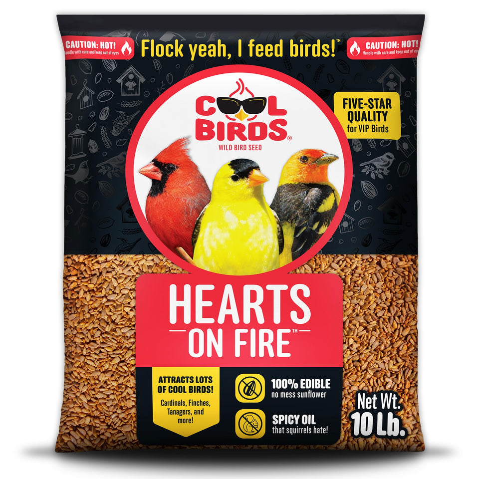 Cool Birds Hearts on Fire bag ready for outdoor feeding attracts a variety of backyard birds.