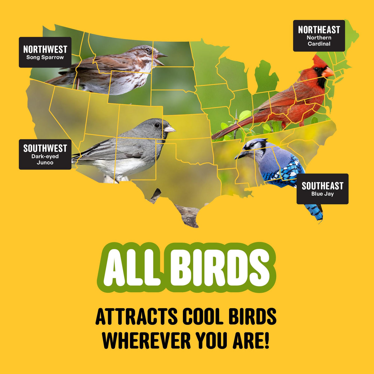 Made in the USA label on Cool Birds All Birds Seed bag