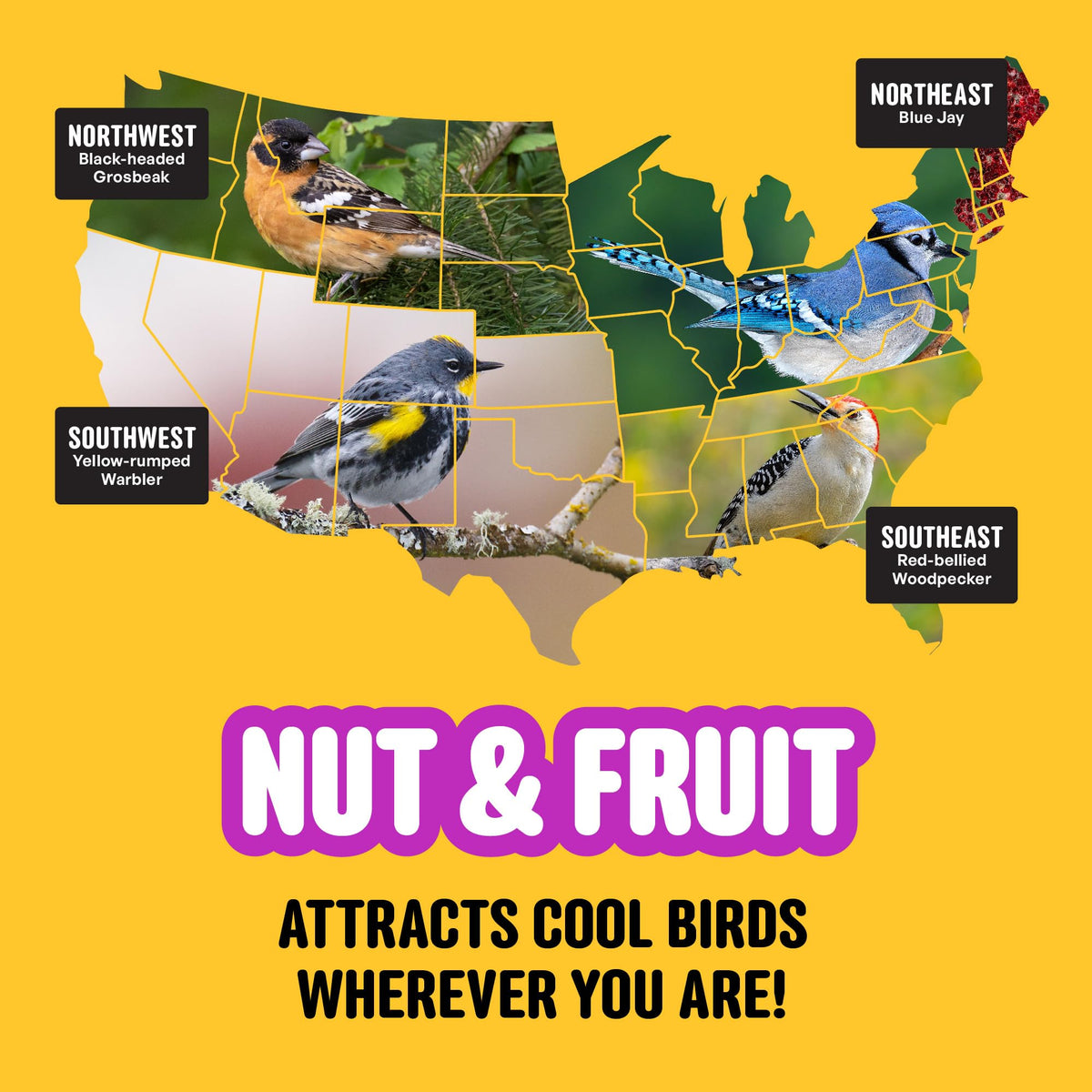 COOL BIRDS Nut & Fruit seed appeals to cardinals and chickadees.