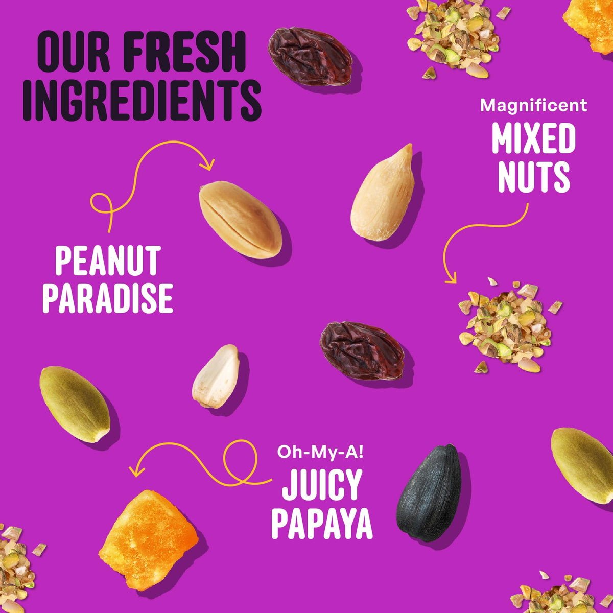 COOL BIRDS Nut & Fruit seed peanuts and tree nuts close-up.