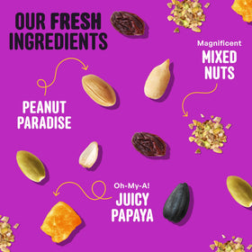 COOL BIRDS Nut & Fruit seed peanuts and tree nuts close-up.