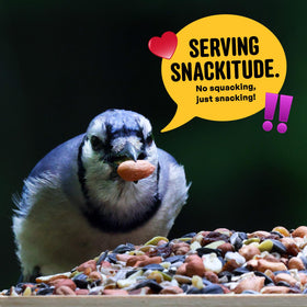COOL BIRDS Nut & Fruit seed without corn or millet promotes efficient feeding.