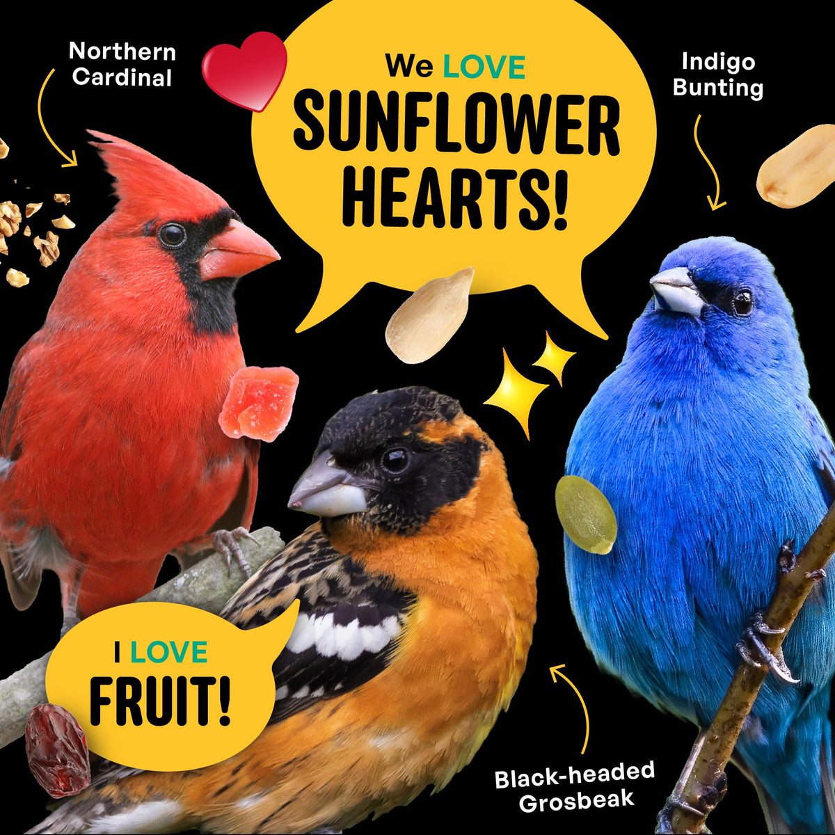 COOL BIRDS real fruit papaya raisins: natural sweetness loved by many birds.